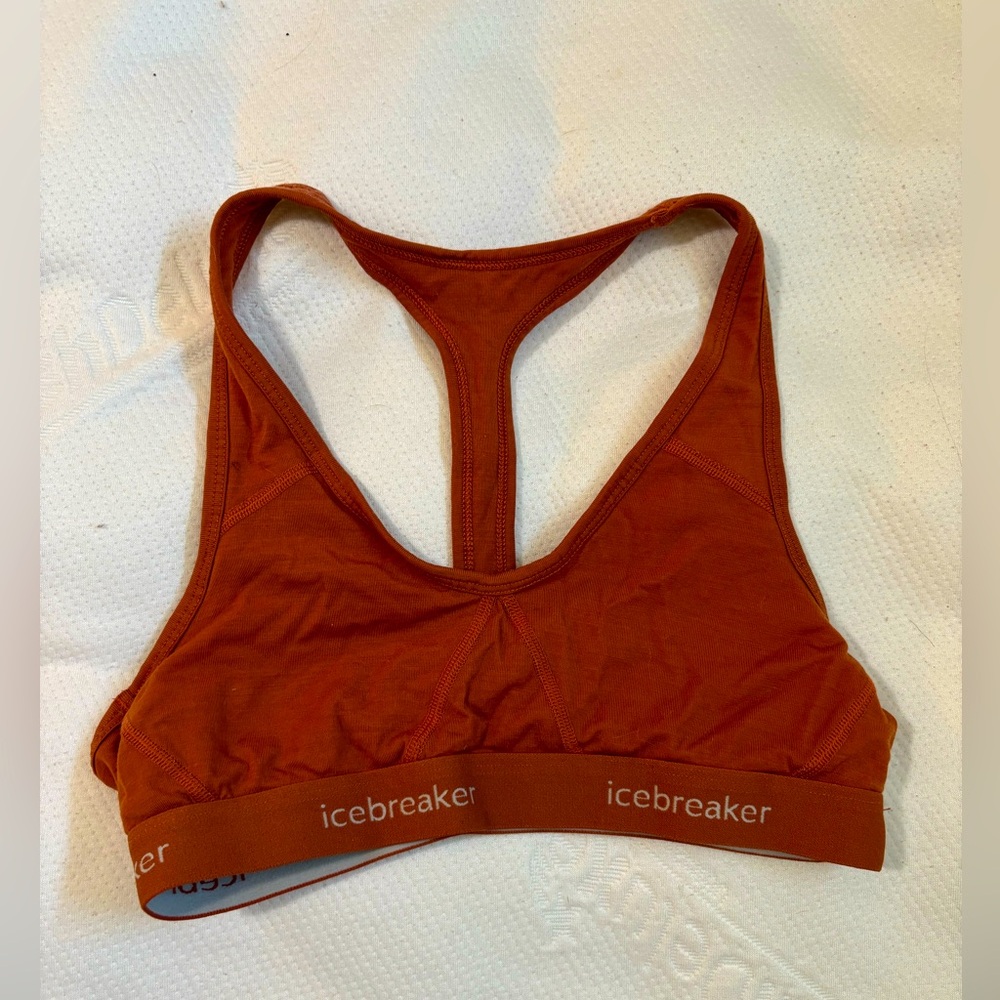 Icebreaker Merino Wool Sports Bra Medium